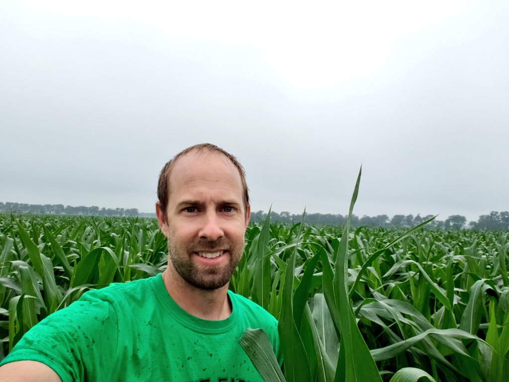 INTENT_Ag's tweet photo. RT @JeffHerrold: This corn crop is really in a rhythm and looking really good. It is alot of fun watching this one grow. Pics taken 5-26, 6-8, 6-23. #striptill #biotill #corn https://t.co/s5Oy9MaJFP