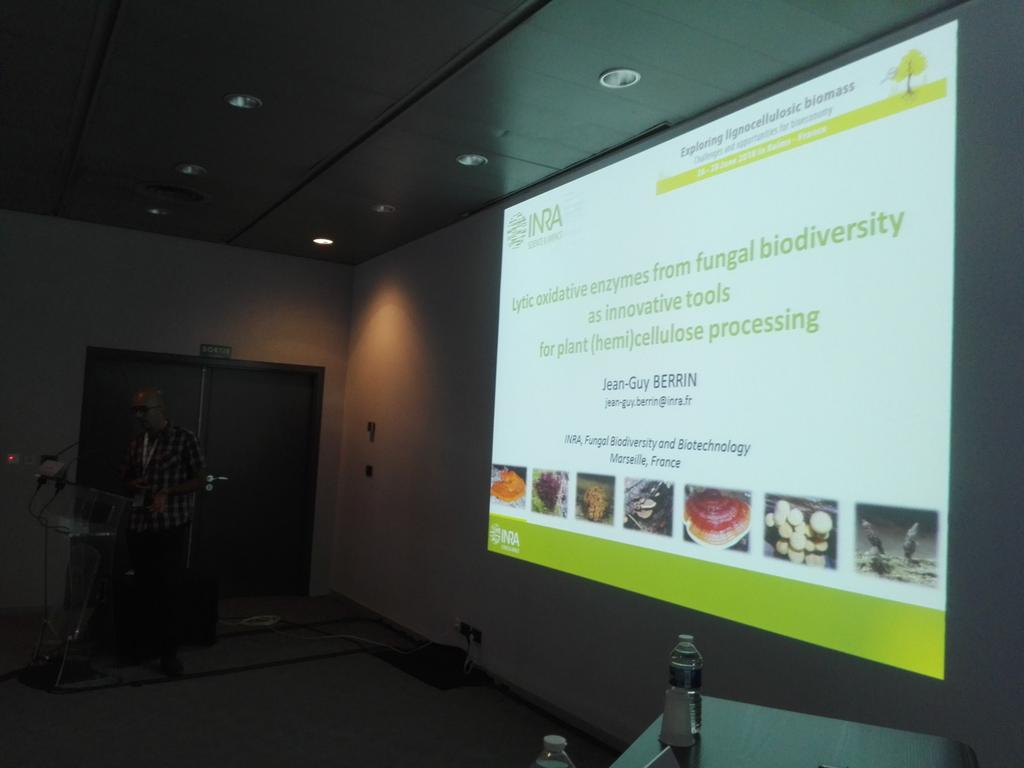 ExploreBiomass's tweet photo. Lytic oxidative enzymes #LPMOs as innovative tools for (hemi)cellulose processing @jgberrin @BBF_lab #ELB2018 https://t.co/hHz5BETlgz