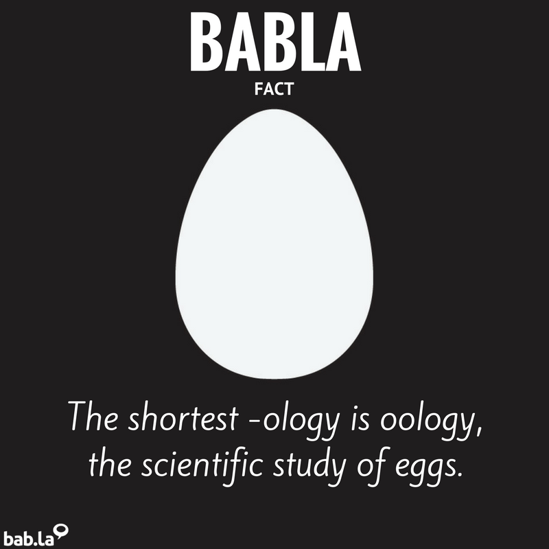 babla's tweet photo. Ooooo! π₯ #BablaFact https://t.co/TDgGumoViL