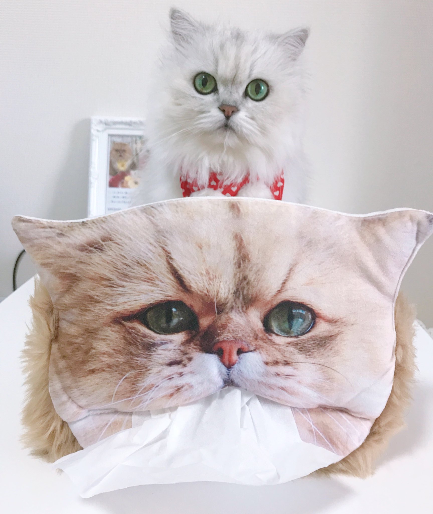 ふーちゃんティッシュカバー 店内限界値引き中 セルフラッピング無料