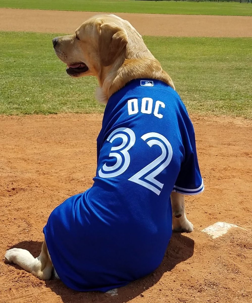 LivePDFantasyLG's tweet photo. This has got to be the cutest picture of #K9Doc! Dogs and baseball, what else could someone ask for?! ๐ โพ๏ธ https://t.co/HNfC6tDMFs