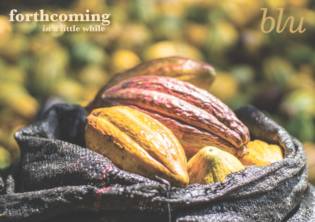 Blu_Chocolate's tweet image. All the way from lush green jungles of the Peru we hand -pick the enchanting Cocoa beans. Here's presenting the most premium and artisanal quality of chocolate - Blu Chocolate.

RT if you're excited to know more about us?