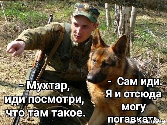 ЕС ждет от Украины выполнения обещания по отмене е-деклараций для активистов, - Могерини - Цензор.НЕТ 6419