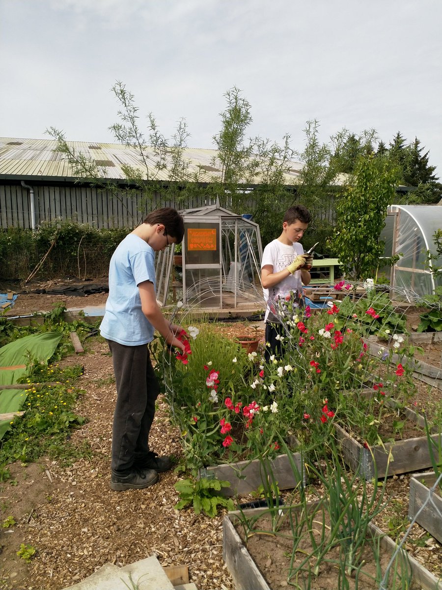 PerthAcademyOrganics tweet media