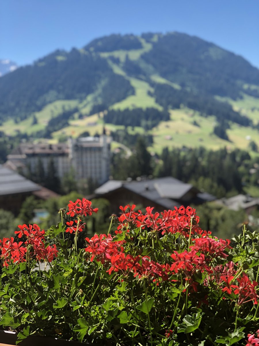 lushescapes's tweet photo. Flowers are blooming in #Gstaad. #milliondollarview #lushescapes #luxurylife #luxuryhotel #luxurytravel https://t.co/G04bxDvtY1