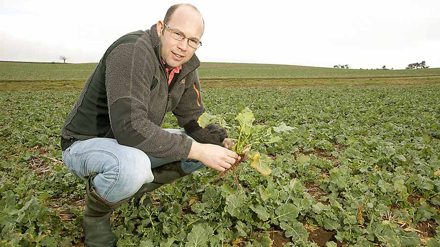 BritishArable's tweet photo. Benefits of companion cropping OSR to improve soil structure and fertility in preparation for the #NeonicBan #BritishArable #BritishAgri via @FarmersWeekly
https://t.co/a69uf1Rjnw https://t.co/JekQRrXp9I