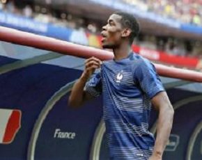 Funny Cats tweet media