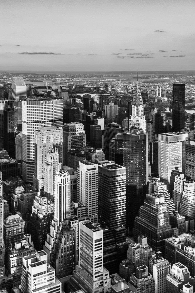 PedroCobo_Foto's tweet photo. Vistas #determinadas.

#NY https://t.co/RdPMW4yMLE