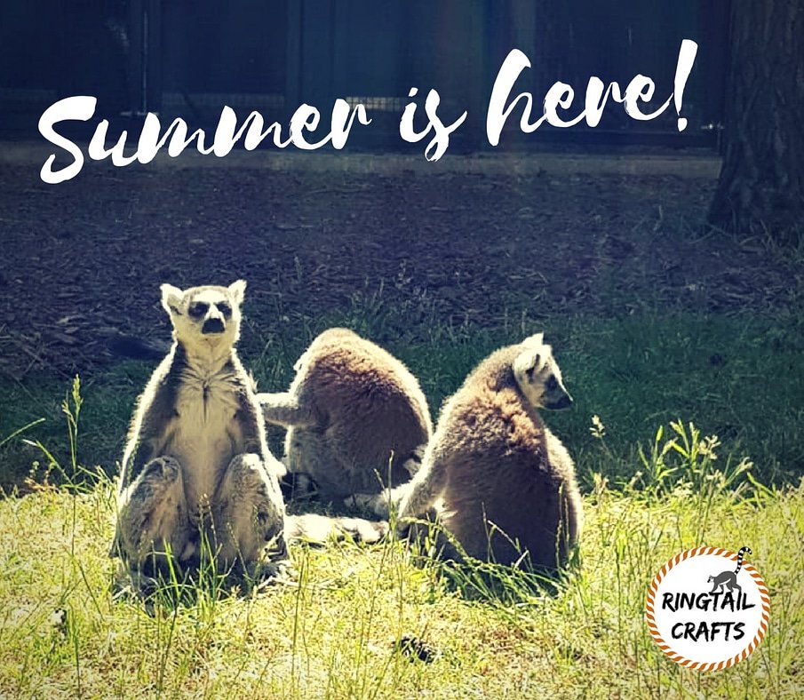 CraftsRingtail's tweet image. Have you been sunbathing like a lemur this week? Ring-tailed lemurs are famous for sitting up and having a cheeky sunbathe to get warm #heatwave #summer #ringtailedlemurs