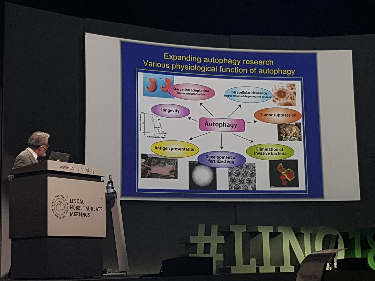 Mottiekind's tweet photo. Inspiring morning talk by Yoshinori Ohsumi #autophagy #humble https://t.co/VSPUCv4ZH4