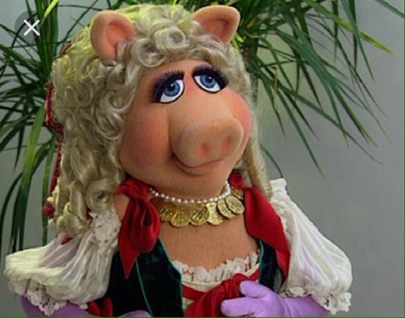 Molly Cutter tweet media