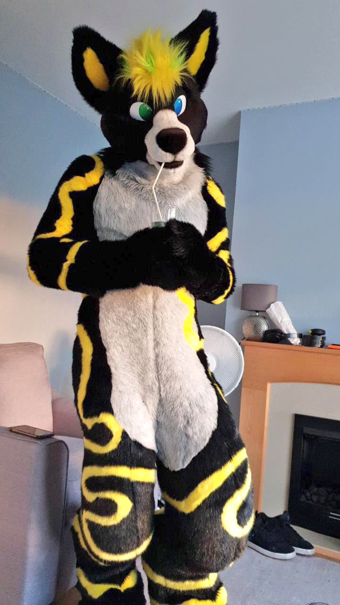 ary the coffee fox aryflufffox twitter