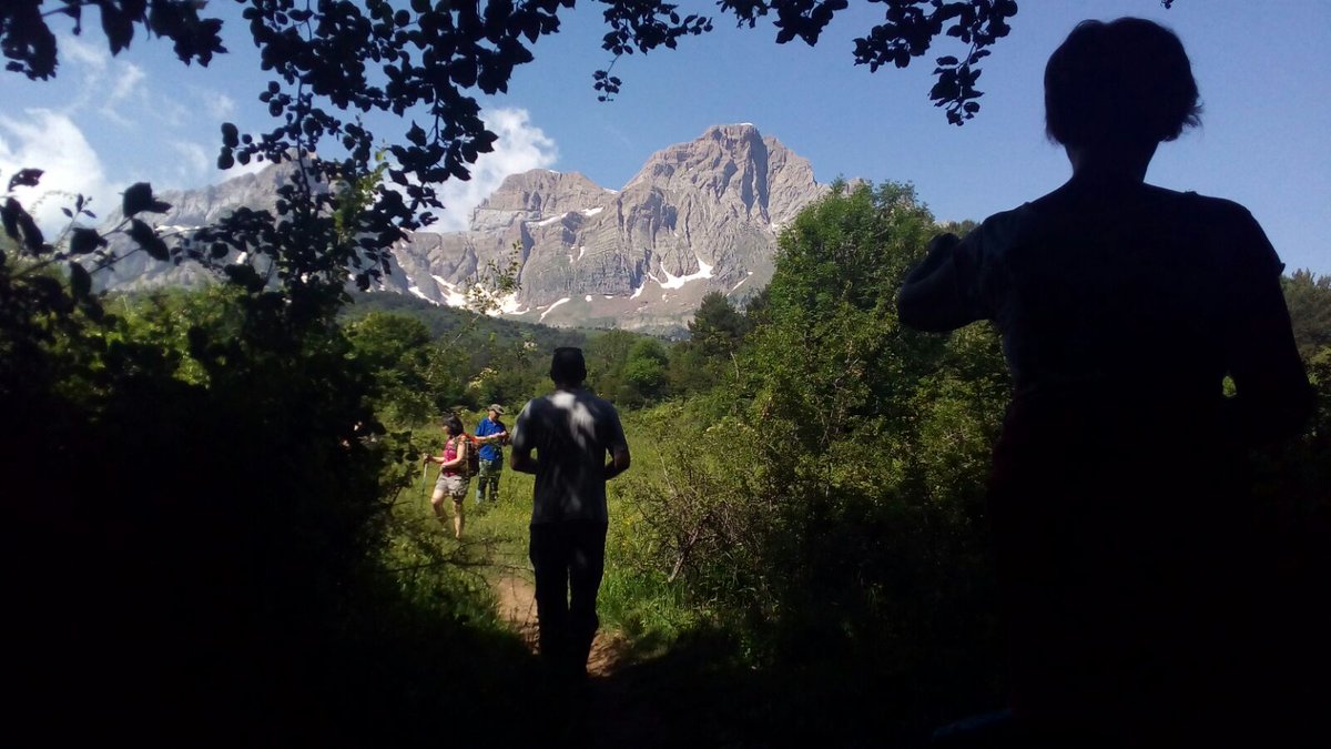 GobAragon's tweet photo. Bosques de hayas, setas, brujas, flores del martagón y de la corona de rey, barrancos de agua pura y limpia y el gran telón de fondo de #PeñaTelera y la sierra de #Partacua. Así son los paisajes de la Reserva de la Biosfera Ordesa-Viñamala. #OrdesaCentenario https://t.co/mzKJBuxjJK