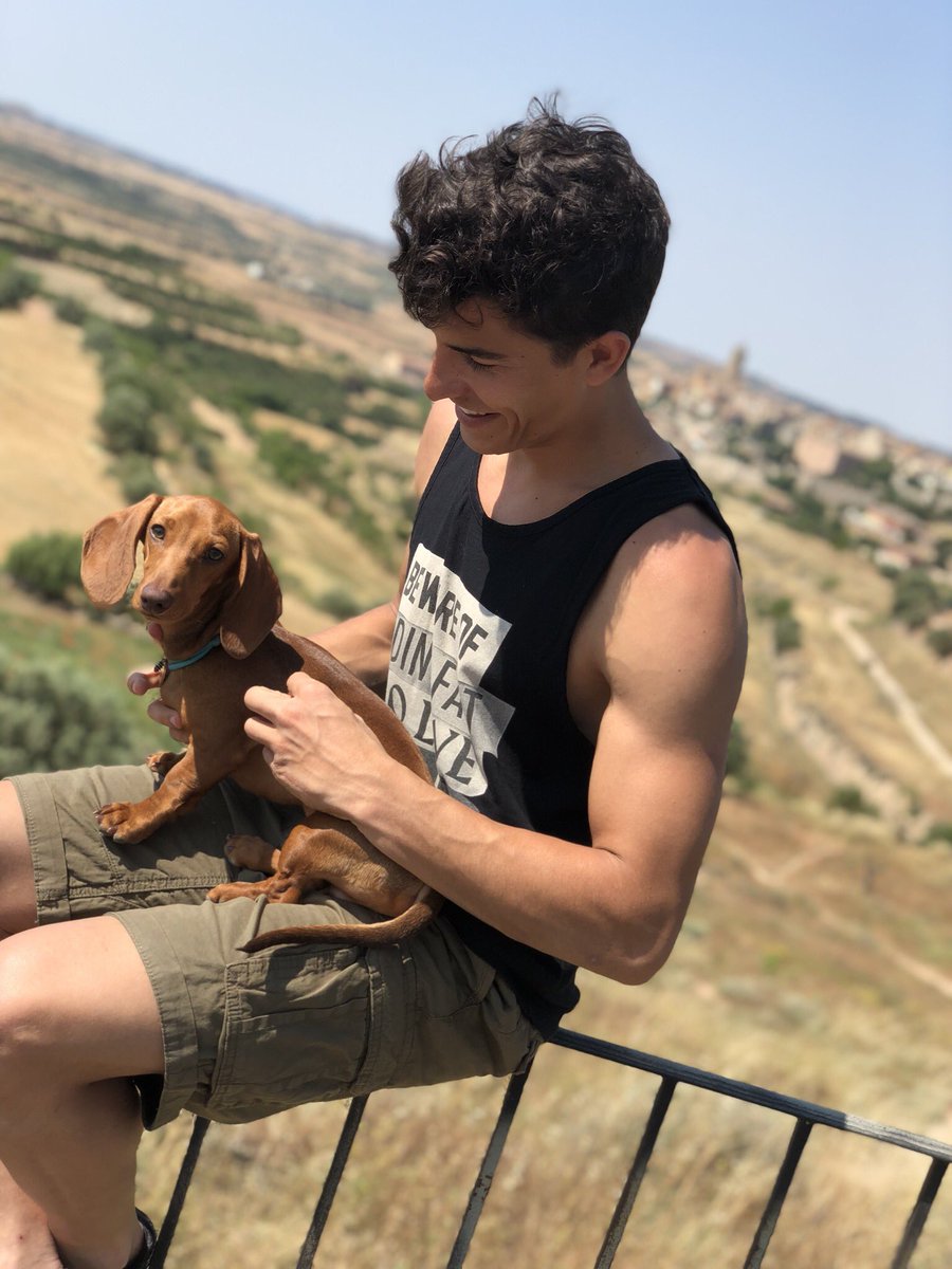Marc Márquez tweet media