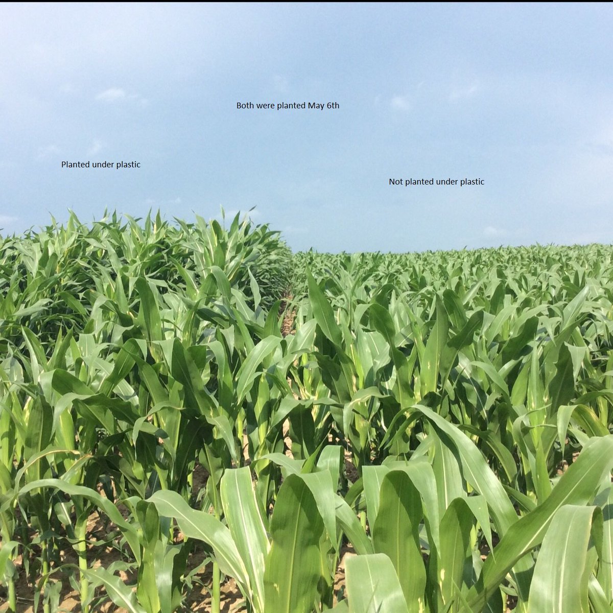 Crop IMS tweet media