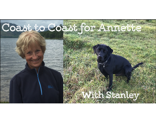 Ipswich Hospital tweet media