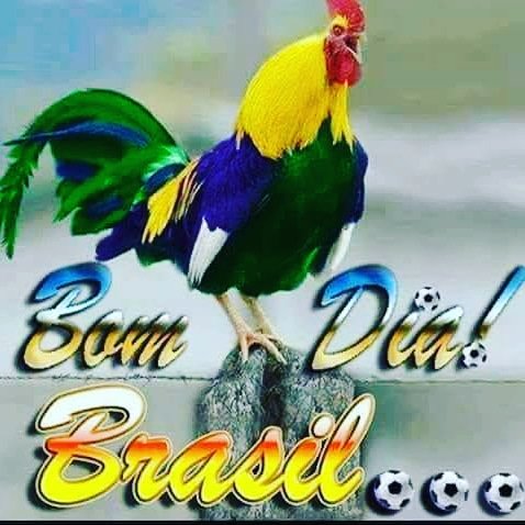 Jailson Mendes (@jailsonmreal) on Twitter photo 