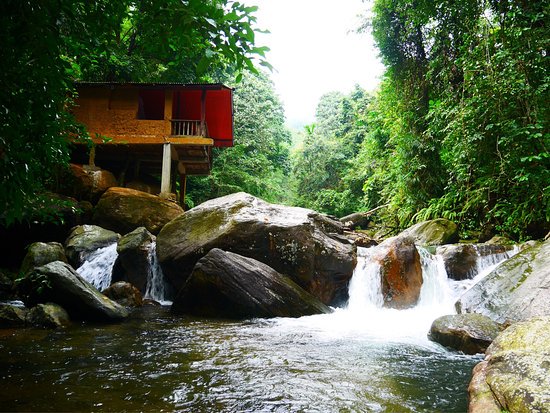 visit_sri's tweet photo. Gallene Gala #nature #resort Kithulgala #SriLanka we are open for bookings with assistance of  @bookingcom reserve your lodging via https://t.co/VMSDafr2nt 
#Ideal #cheapest #wonderful #nature #Travel #lodging #waterfall #trekking #rafting #enjoylife 
#Follow us @visit_sri https://t.co/exfyJOCYfc