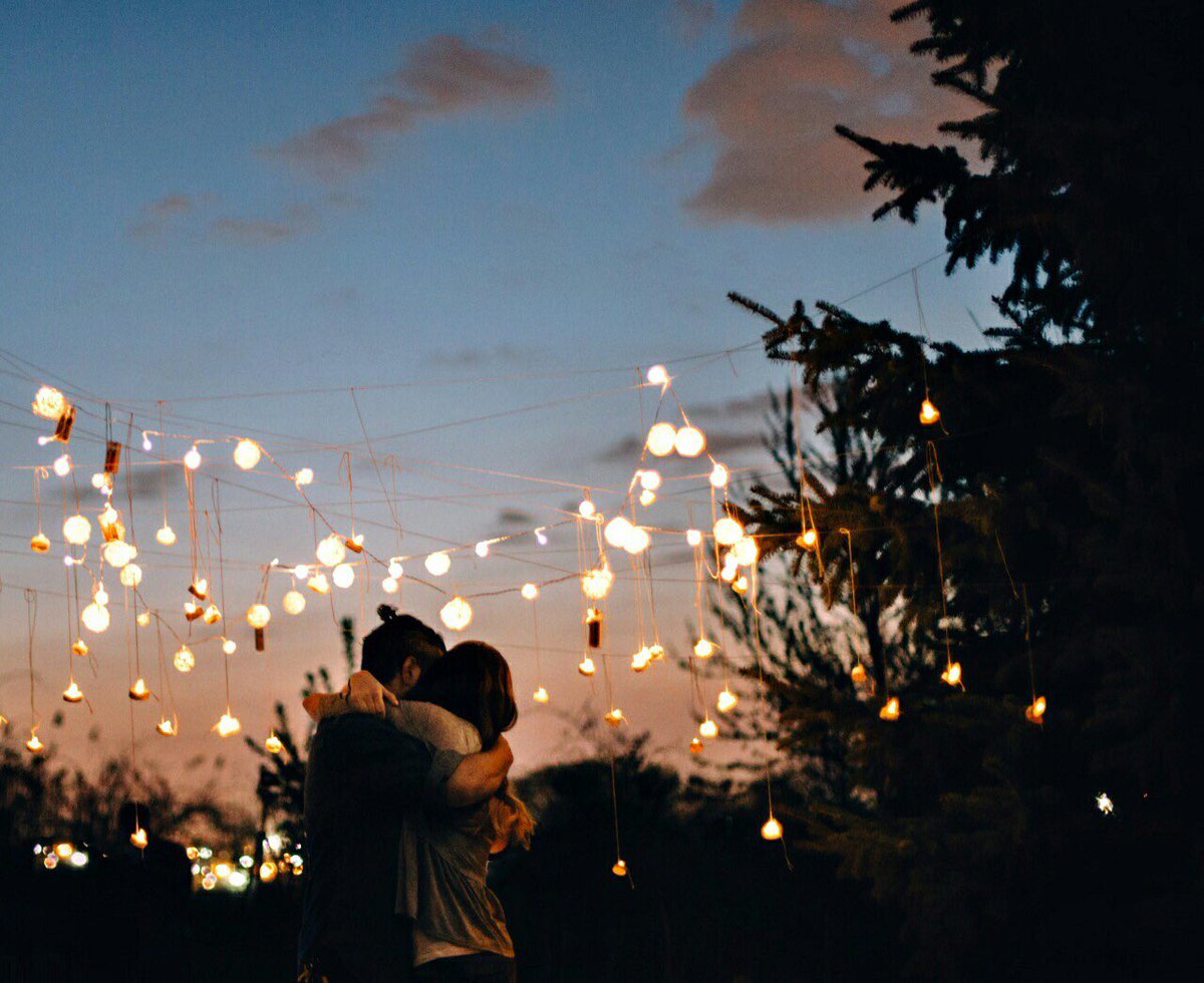 ꒰ หวายมีแมวชื่อแบบี๋ ·˚ ༘ tweet media