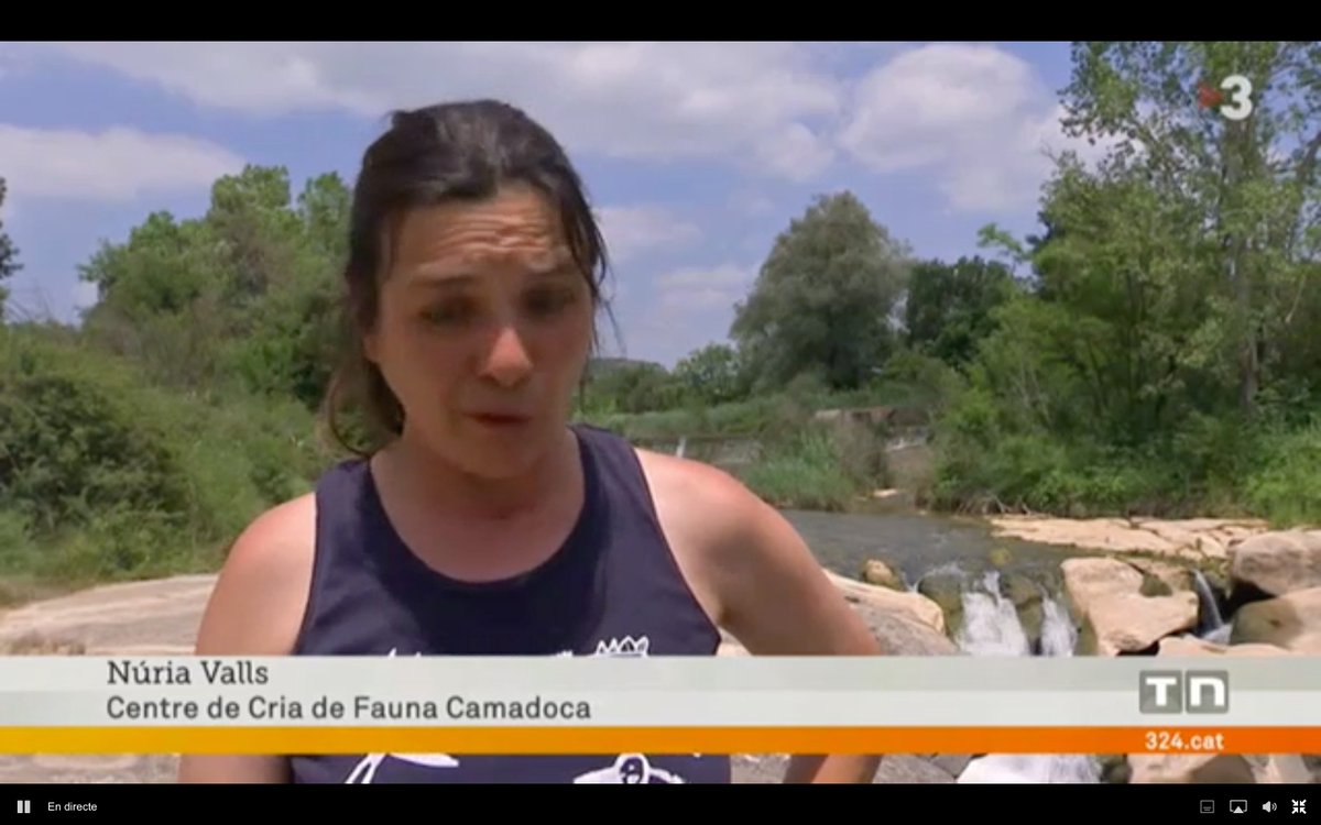 ccbergueda's tweet photo. Gràcies @nurbacardit @tv3cat pel reportatge que acabeu d'emetre, on poseu de manifest les ordenances municipals recentment aprovades per ordenar els usos a la Riera de Merlès.Una espai ÚNIC que des del Berguedà,el Lluçanès, el Ripollès i el Bages estem tractant de valoritzar 📶 https://t.co/yCH2e0MyrF