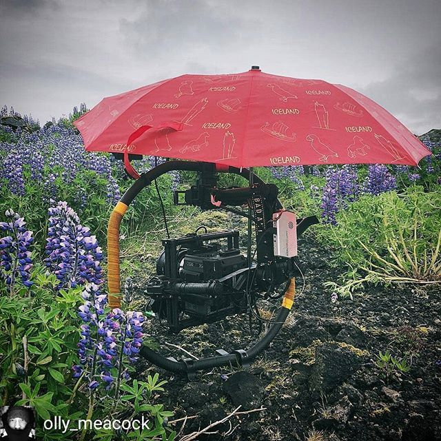 Shooting in the rain...www.amimon.com 
Regrann from @olly_meacock -  Standing by in the rain - #regrann ift.tt/2tAga8X