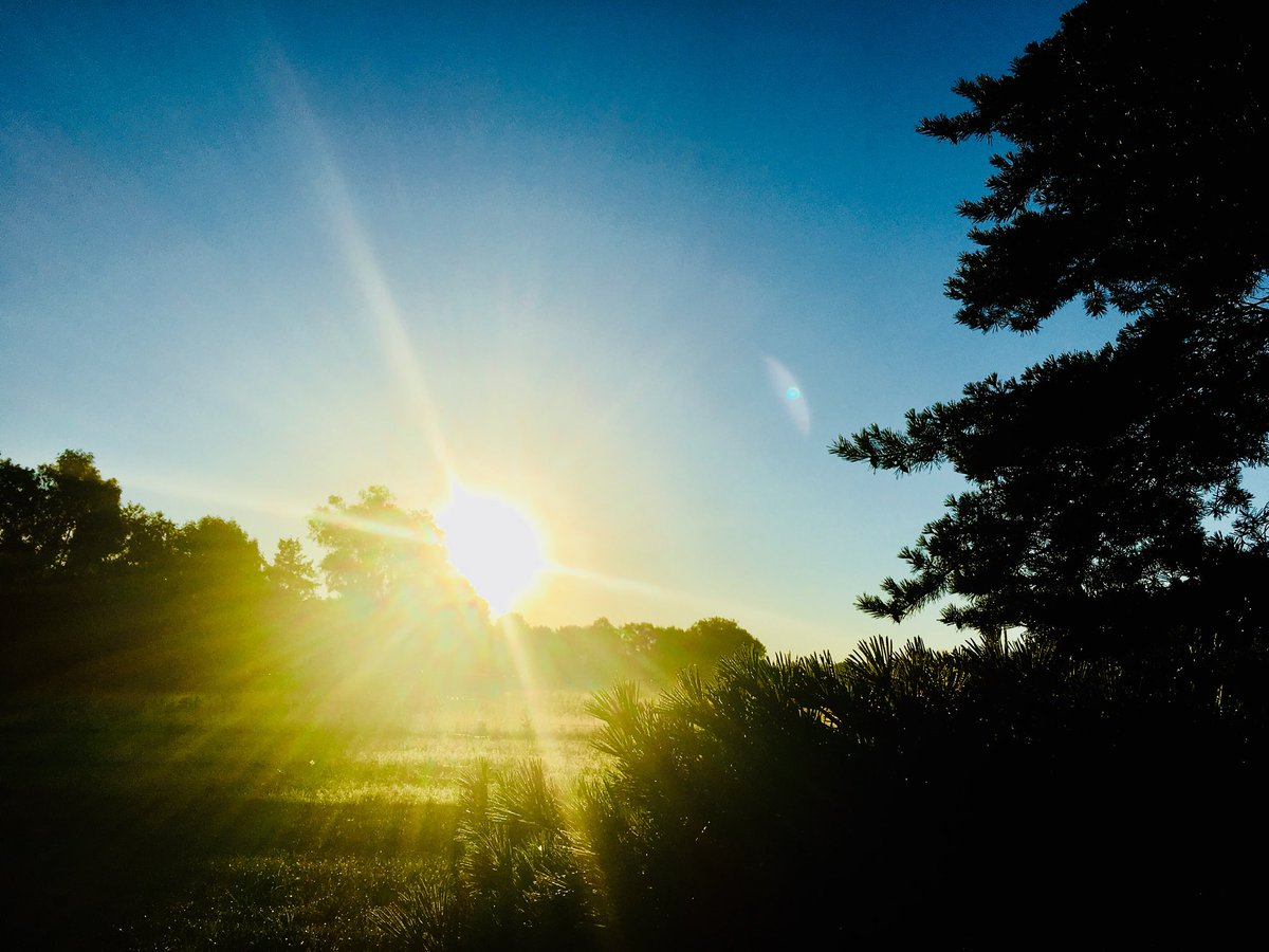 tomrempel's tweet photo. #What2🎶2day
The LORD is my light and my salvation; whom shall I fear? The LORD is the stronghold of my life; of whom shall I be afraid? Ps27 https://t.co/ggj7hUyduP