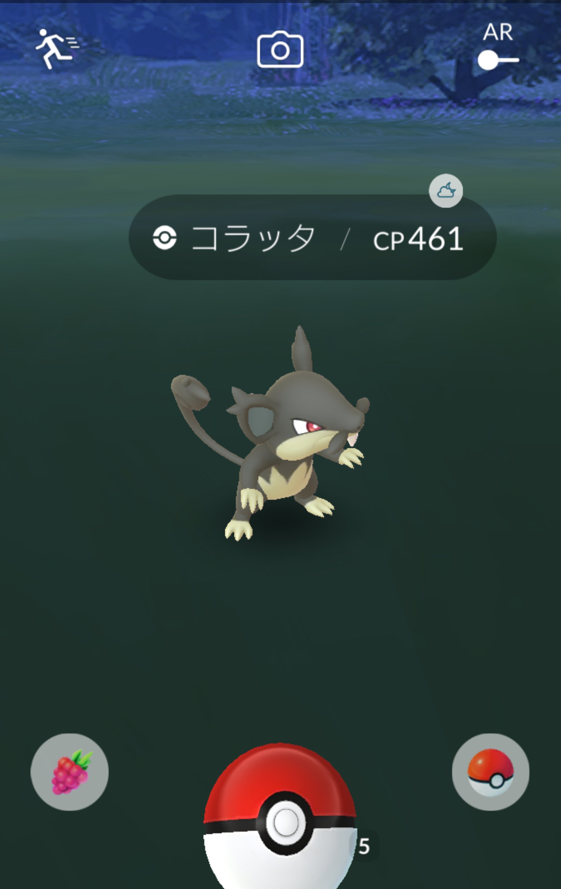 ひがっし A Twitteren なんか黒いコラッタ出た こんな情報あったっけ こいつはたぶんフィールド上でも色が違ったな そしてポケモンboxないで色違いの星印はついてない ポケモンgo コラッタ 黒 黒いコラッタ 色違い T Co Clieiress0 Twitter