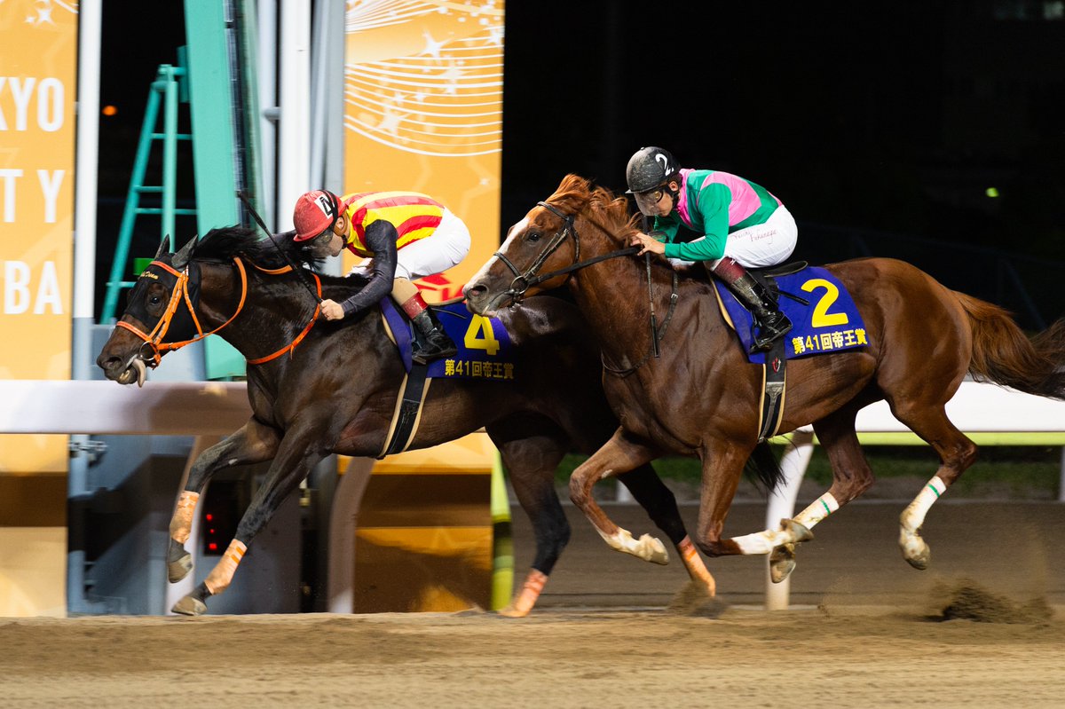 東京シティ競馬 Tck On Twitter 壮絶な追い比べを制す 帝王賞 第41回帝王賞 Jpni を制したのは 名手c ルメール騎手とのコンビで挑んだ ゴールドドリーム 牡5 Jra 平田修厩舎 最後の直線 外から回り込んだケイティブレイブとのマッチレースをクビ差で制