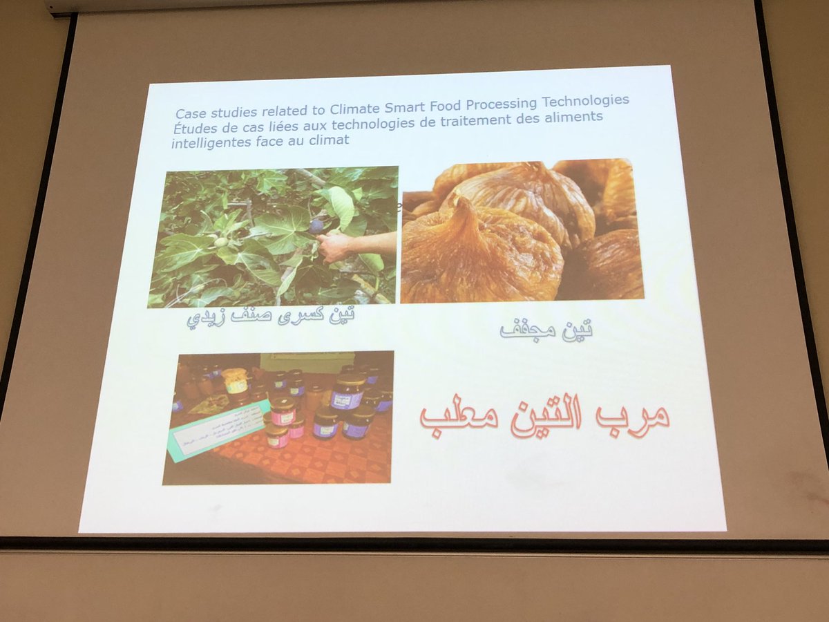 dr_abiad's tweet photo. Hicham Alakhdar from #Tunisia on fig processing and women empowerment #CSFT_2018 @AUB_FSP @agrytech @FAO @AUB_Lebanon https://t.co/tjgNuQR6ay
