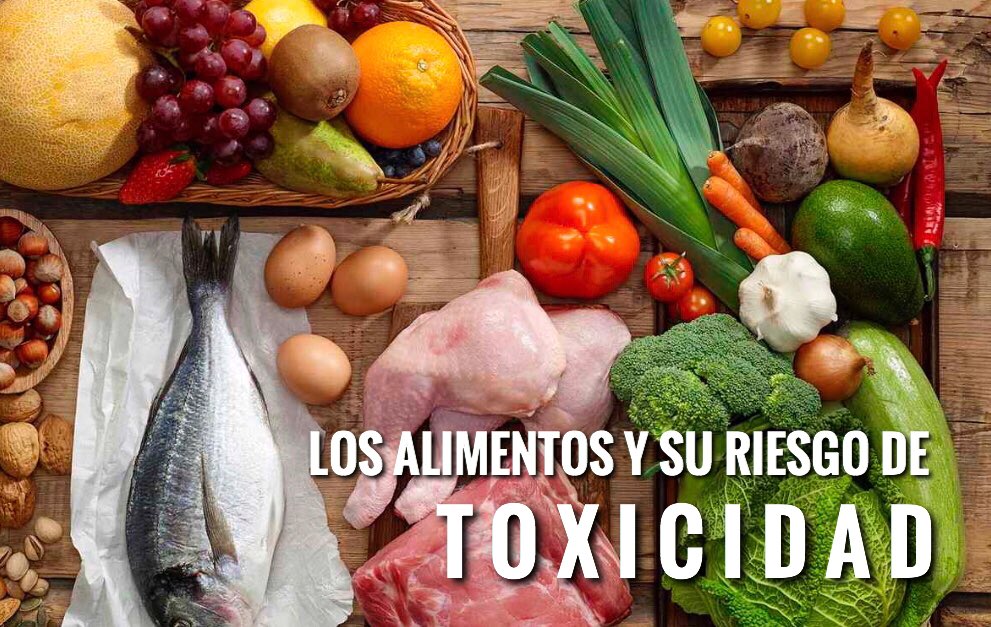 CDCHUC's tweet photo. Ciclo de Seminarios del @cimbuc invitamos al seminario de la Línea de Investigación de Fármaco-Toxicología LOS ALIMENTOS Y SU RIESGO DE TOXICIDAD por la Dra. Isaura Moleiro de Ovalle 2 jul 2018. Auditorium "Ninoska Maniero" 11:00am #ucarabobo #cimbuc #cdchuc #toxicidad #alimentos https://t.co/i0eXQ3hoRc