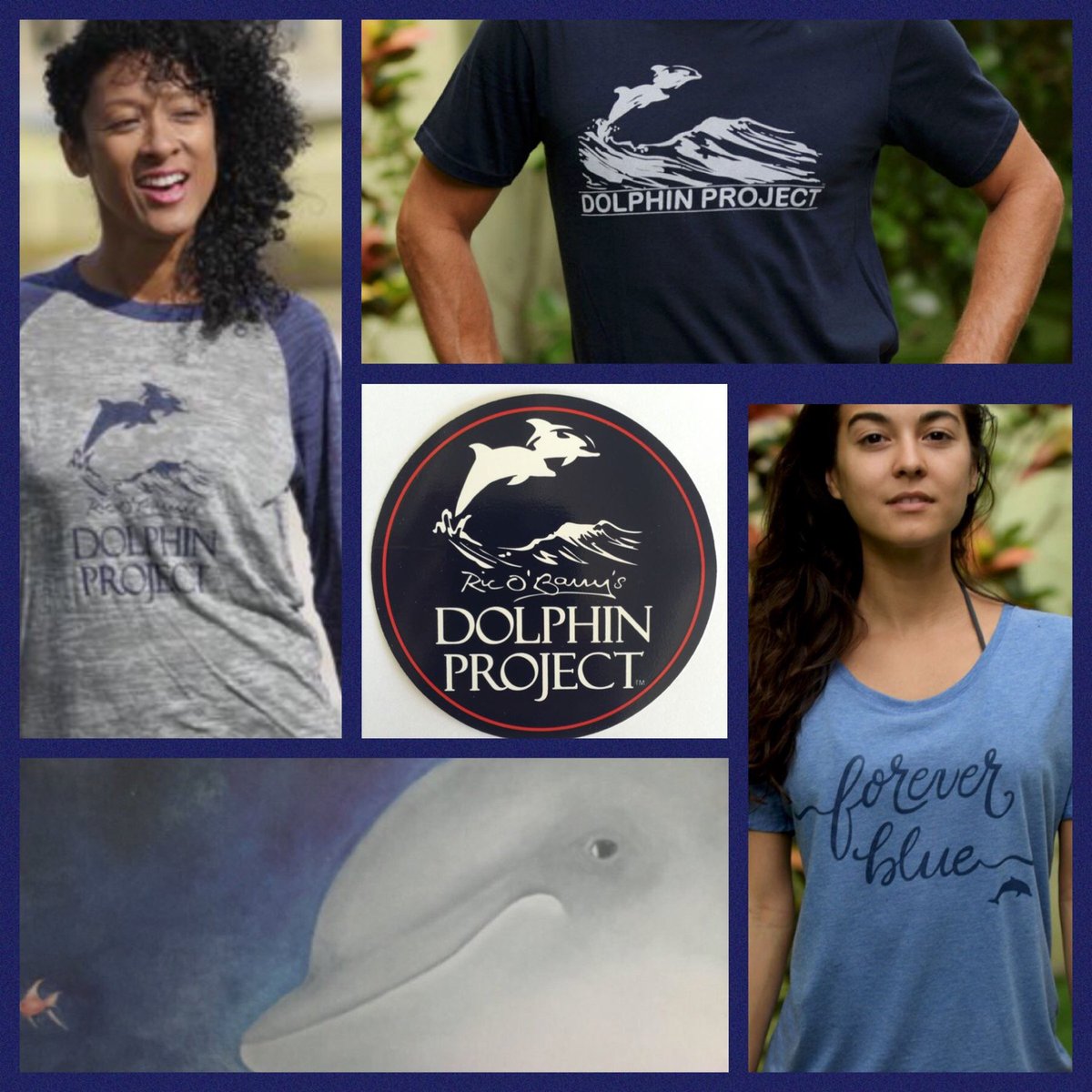 Dolphin_Project tweet picture