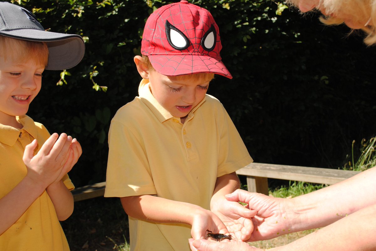 CKISGreenClas's tweet photo. Were you brave enough to hold a newt?  What did it feel like? https://t.co/FBzm83JsqB