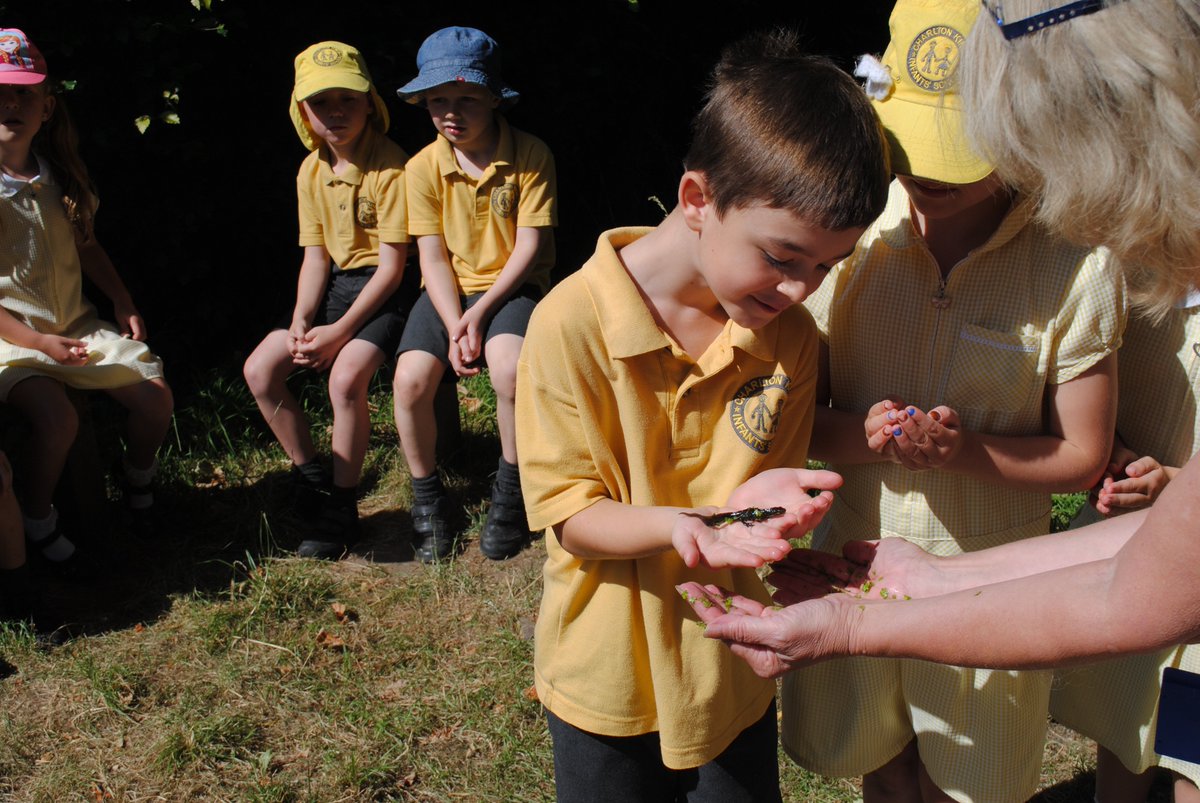CKISGreenClas's tweet photo. Were you brave enough to hold a newt?  What did it feel like? https://t.co/FBzm83JsqB