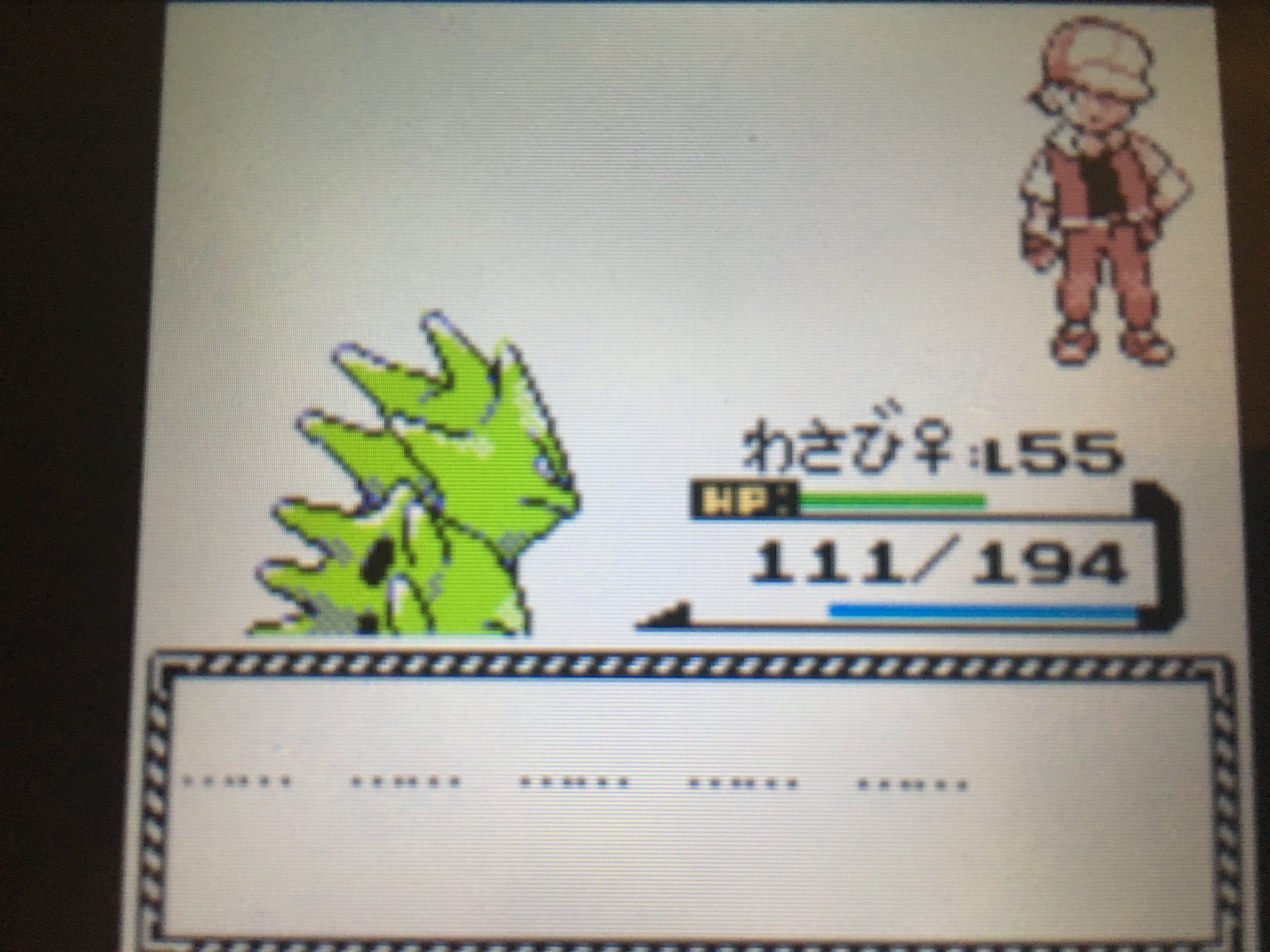 金銀 カビゴン イメージポケモンコレクション