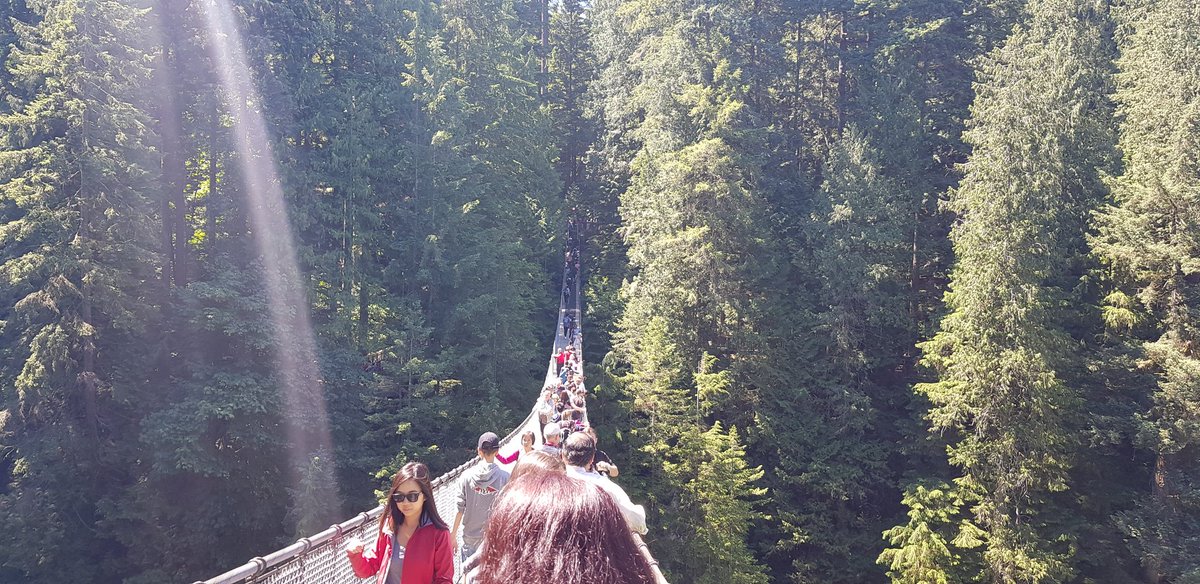 CakeXtreme_'s tweet photo. Stanley Park, Queen Victoria Park, Liongate Bridge, Capilano suspension bridge,  Bear Balls in maple syrup(actual name🤣), Grouse Mountain and this view😍#StanleyPark #QueenVictoriaPark #LiongateBridge #CapilanoSuspensionBridge #GrouseMountain #CakeXplores #Vancouver #Canada🇨🇦 https://t.co/8NsQPjOCdF