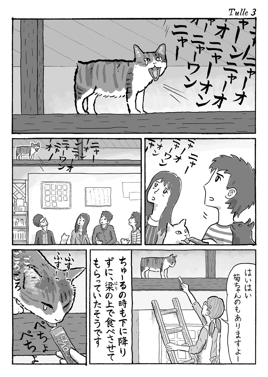 3ページ猫漫画「保護猫カフェのちゅーるタイム」 