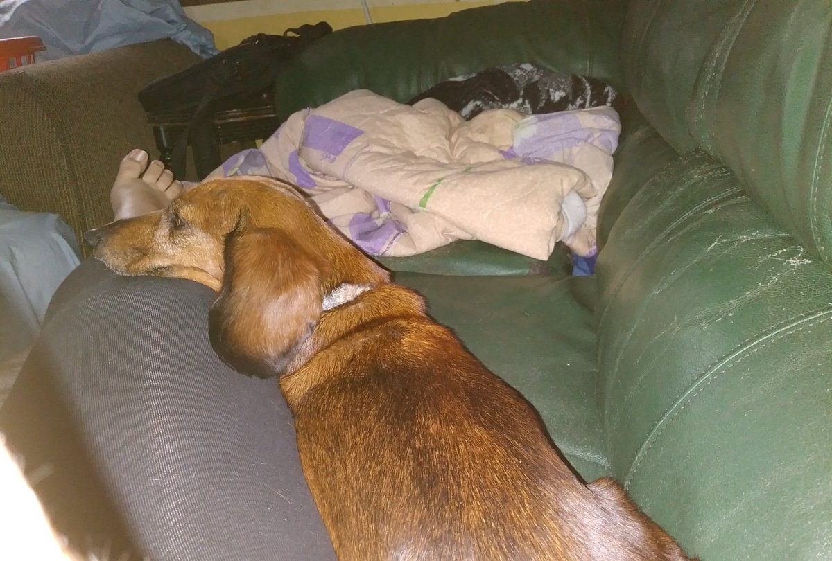 anglebear25's tweet image. Mommas girl