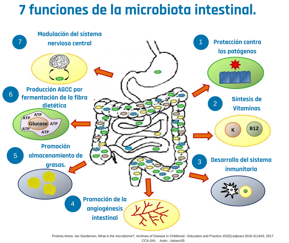 douglaslabs_es's tweet photo. Numerosos estudios han descrito las funciones beneficiosas de la #microbiota intestinal normal en la salud , considerando el #microbioma como un órgano en si mismo esencial para el cuerpo, sin el cual no funcionaríamos correctamente.
https://t.co/NCF5dGCG2Q https://t.co/oauY3125WR
