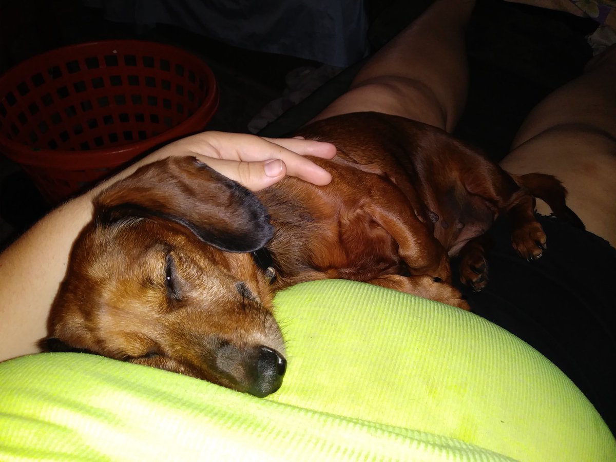 anglebear25's tweet image. My baby girl living on momma