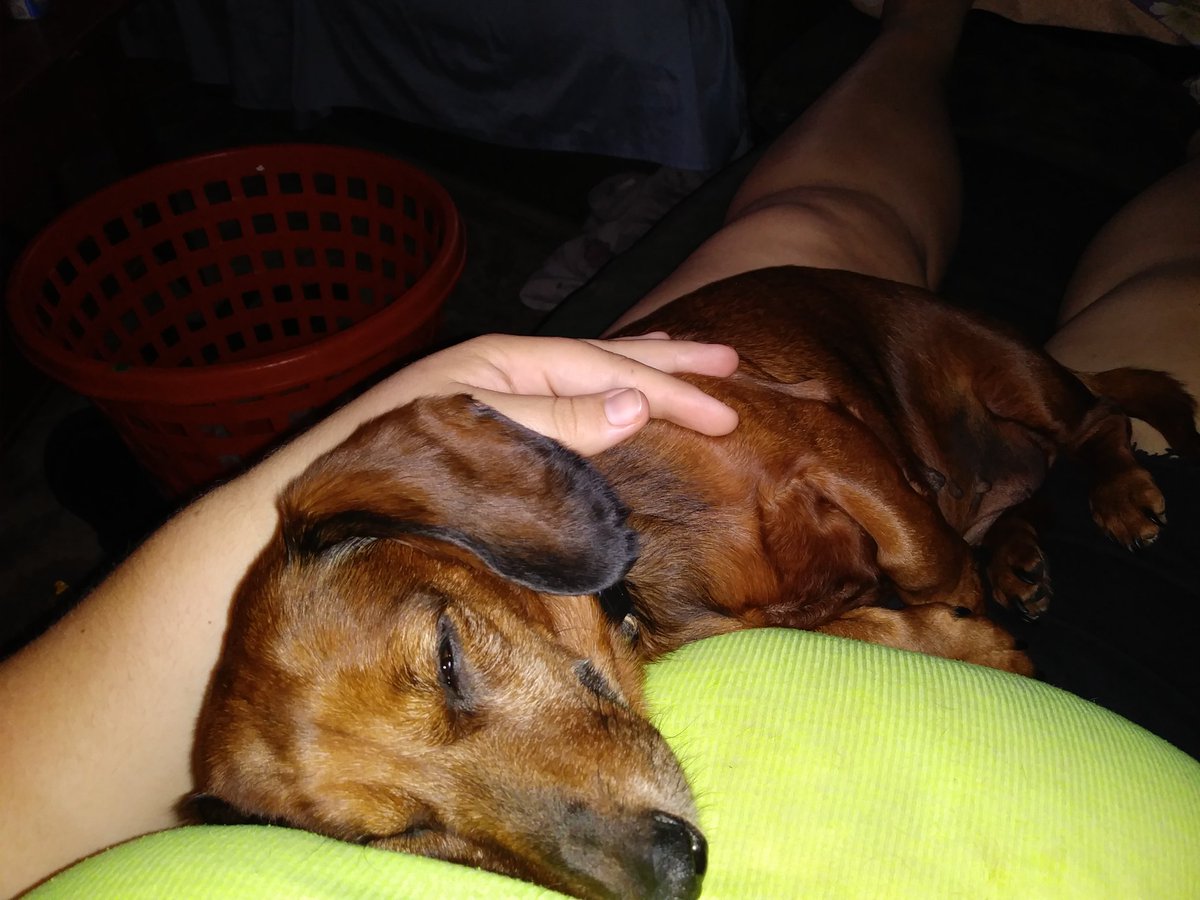 anglebear25's tweet image. My baby girl living on momma