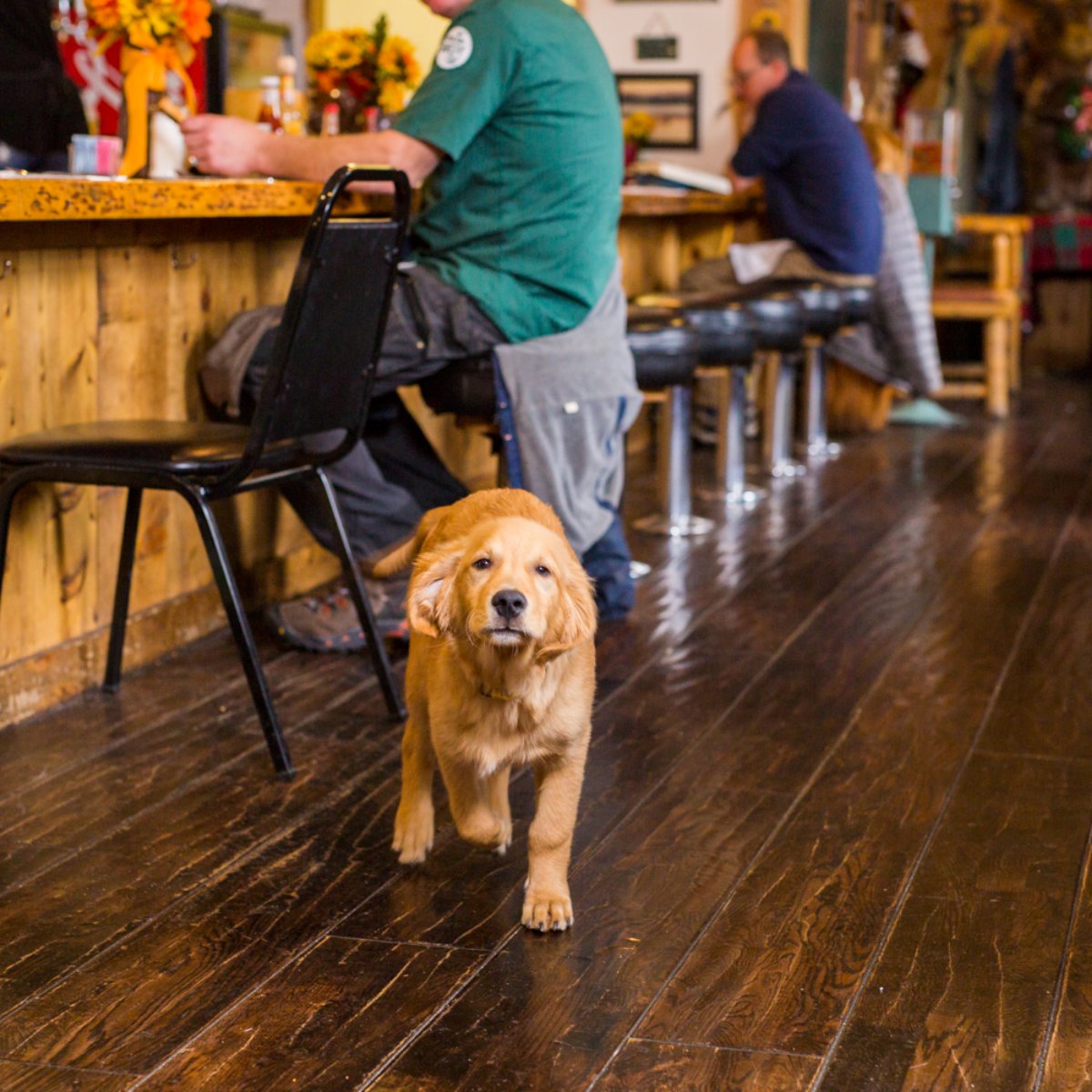 MoneysLogCabin's tweet photo. We're always happy to see you. https://t.co/pqpCBkaGe9