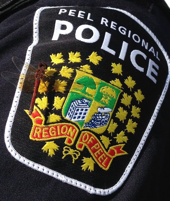 Not all wounds are visible. Take a moment to remember that we all heal and suffer in different ways. Support each other in our journeys to wellness. 
#PTSDAwarenessDay