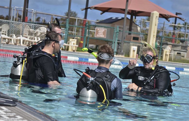 diveplex's tweet image. Do you have a job opening? Post it for free on diveplex.com  and hire your next Dive Instuctor today. #scuba #diving #instructors #scubaschools #learntodive