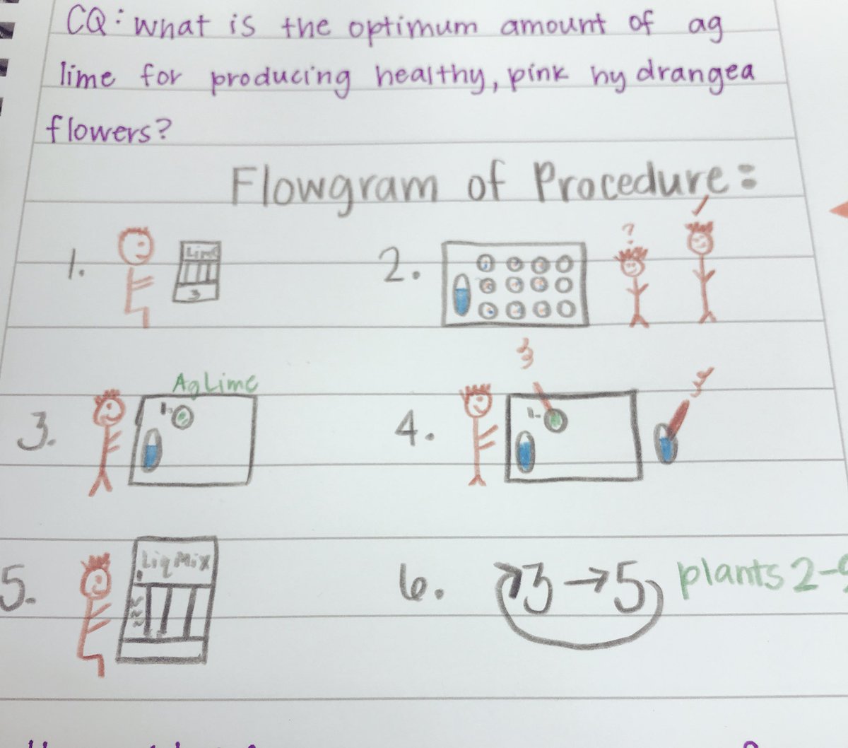 mjbiermeier's tweet photo. Go with the flow(gram). #hydrangearesults #naae #NAAEInquiry #waaepdc #learnbydoing #AgI2 https://t.co/eopCvVoFby