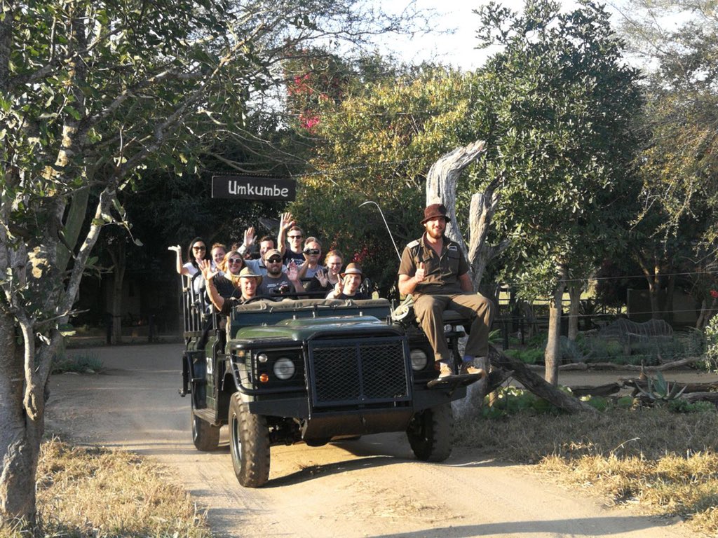 And now it’s #umkumbe ! The intrepid team head into the #SabiSand to dind leopards. #livebushfeed