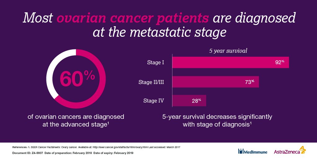 ovarian cancer zhongwen)