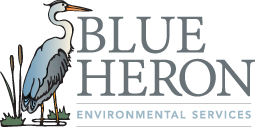 HarborLaunch's tweet photo. Excited that @blueheronenv has joined Harbor Launch! They add to our environmental firepower. Learn more: https://t.co/uSeByVLyDg https://t.co/20kr4V35Uv