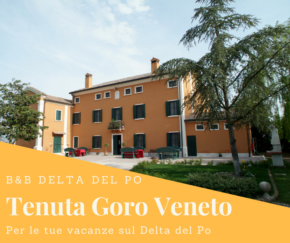 GoroVeneto's tweet photo. Cerchi un #bedandbreakfast nel cuore del #DeltadelPo?
Soggiorna a Tenuta Goro Veneto per un #soggiorno indimenticabile ✨
https://t.co/zZ7U7U6E70 https://t.co/lUo9eC7ky0
