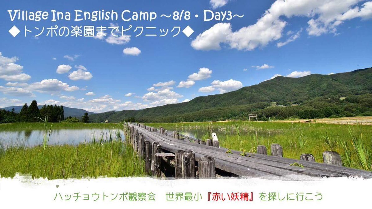 ট ইট র Village Ina Villageina ハッチョウトンボ 英語キャンプ Englishcamp イングリッシュキャンプ 小学生 夏休み トンボ観察 絶滅危惧種 指標昆虫 プログラミング教室 英語でプログラミング ドローン も飛ばします 詳しくは Village Ina で