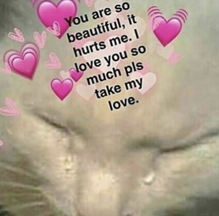 Reported speech в английском языке 9 класс. красивая девушка/секс сзади лежа. Put the sentences into reported speech. He ask to send. северус снейп и гарри поттер.